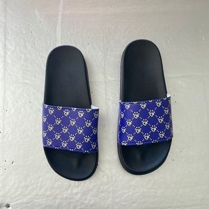 Cheer Athletics Slides